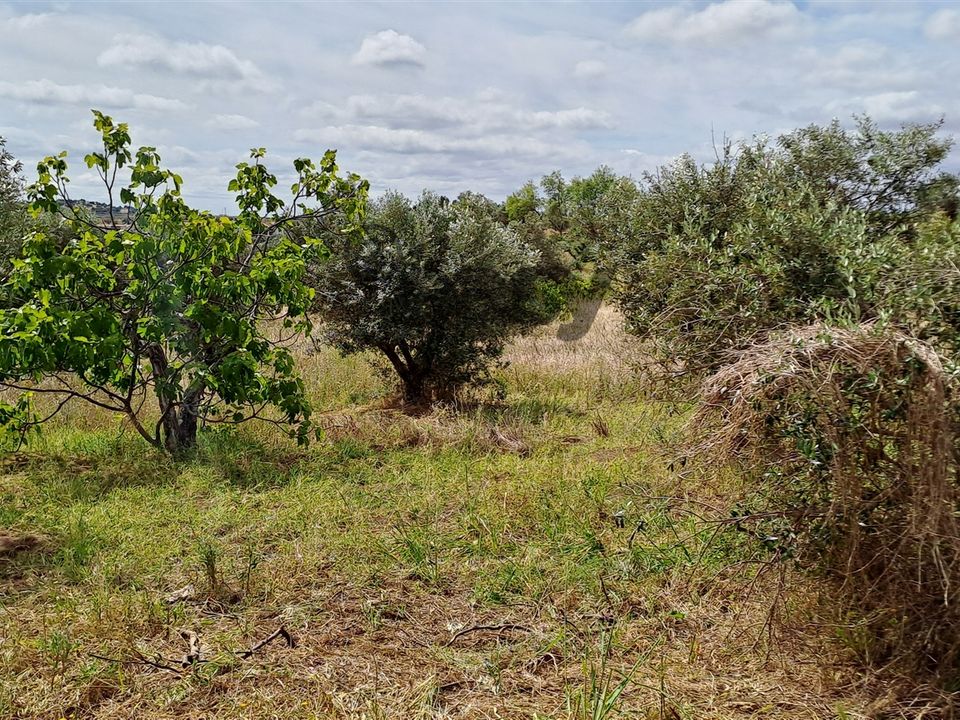 Helårsgrund i Vidigueira, Beja - foto 2