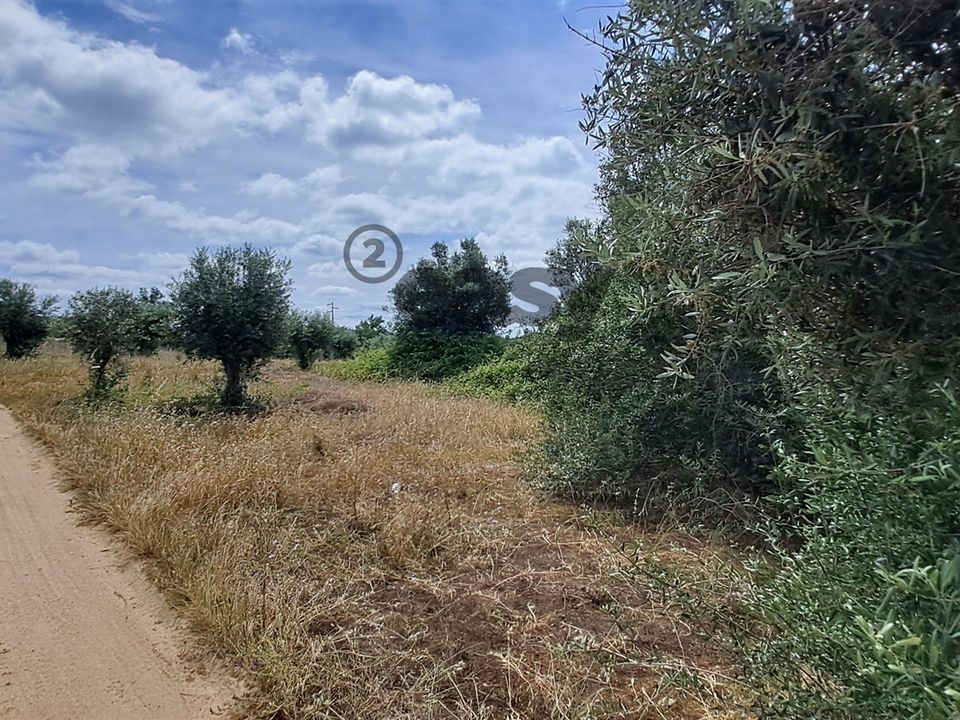 Helårsgrund i Vidigueira, Beja - foto 3
