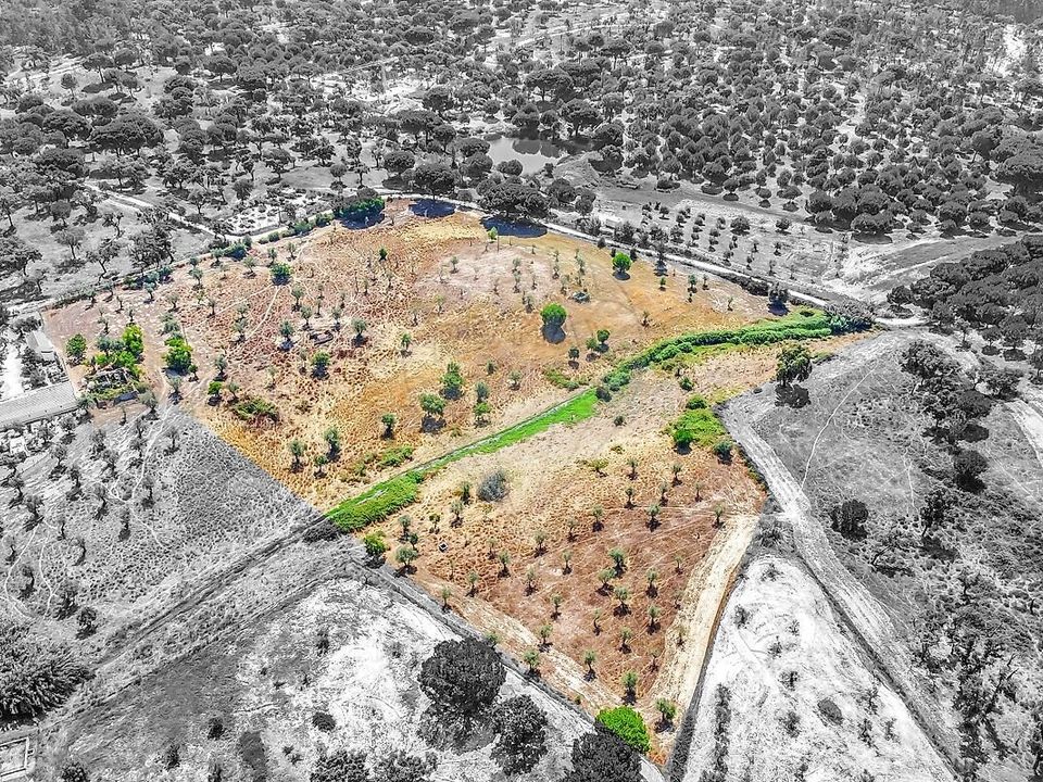 Villa a Corticadas de Lavre e Lavre, Evora - foto 1