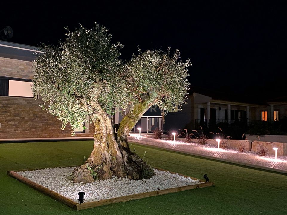 Villa i Caldas da Rainha, Leiria - foto 3