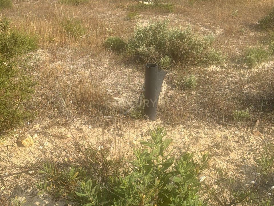 Helårsgrund i Palmela, Setubal - foto 3