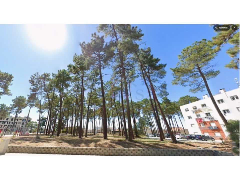 Helårsgrund i Brejos de Azeitao, Setubal - foto 3
