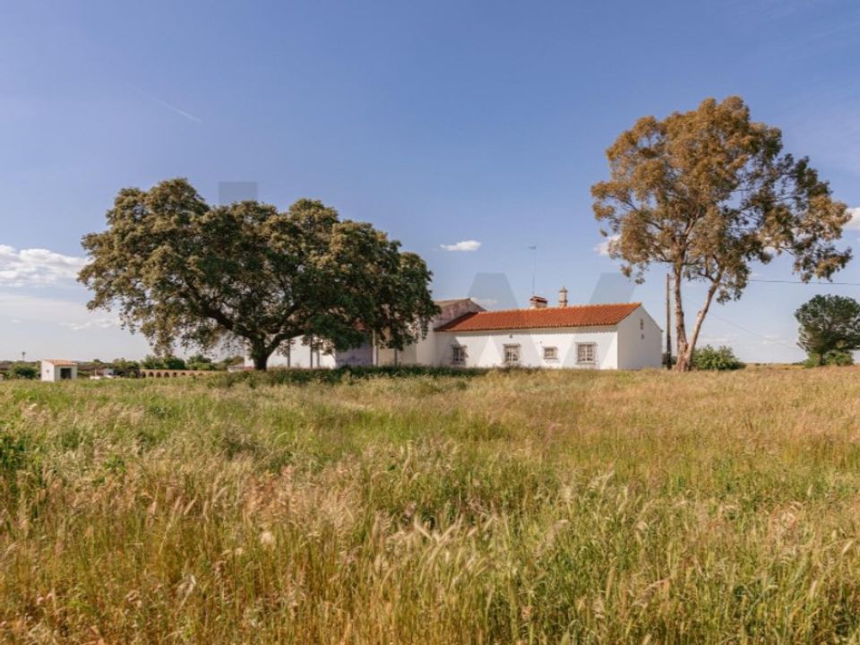 Farm i Viana do Alentejo, Evora - foto 1