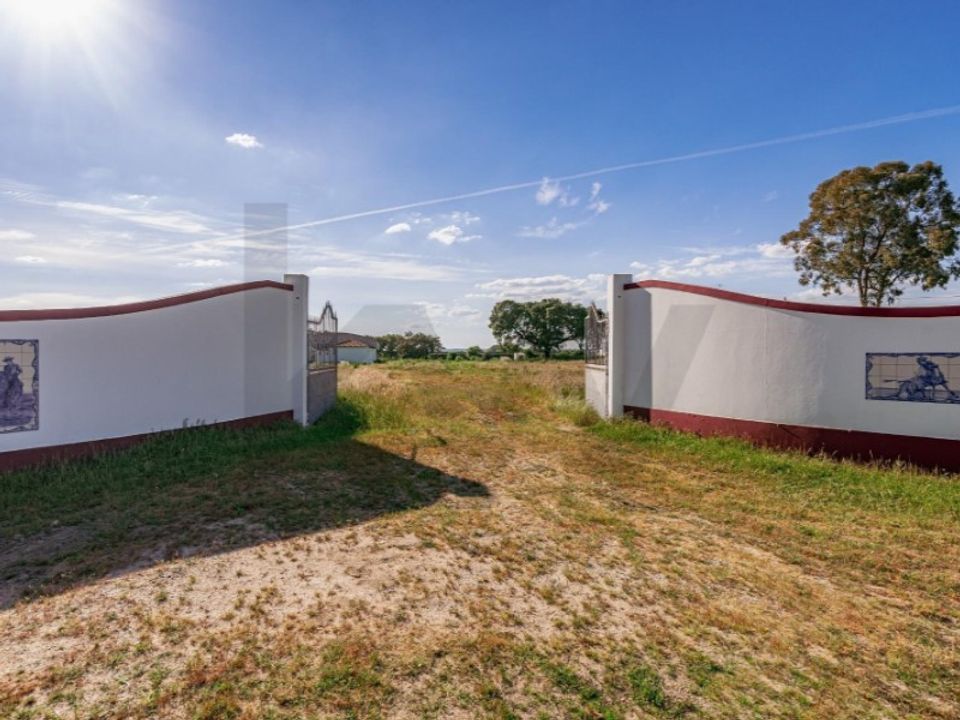 Farm i Viana do Alentejo, Evora - foto 2