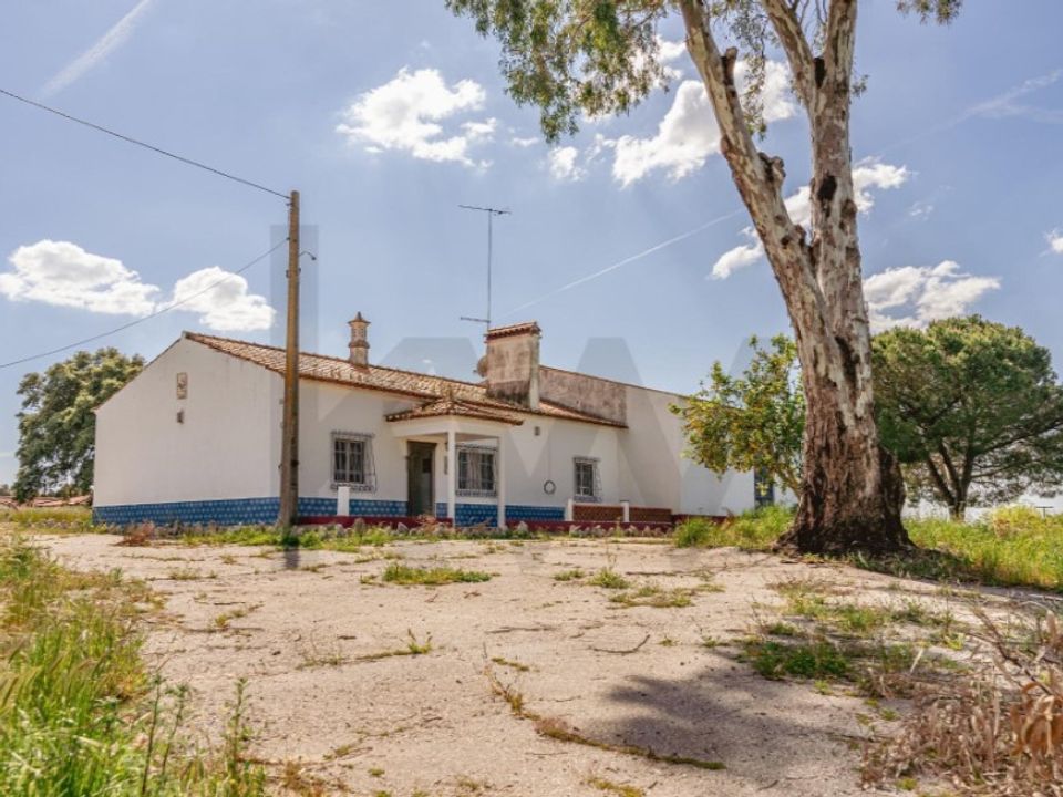 Farm i Viana do Alentejo, Evora - foto 3