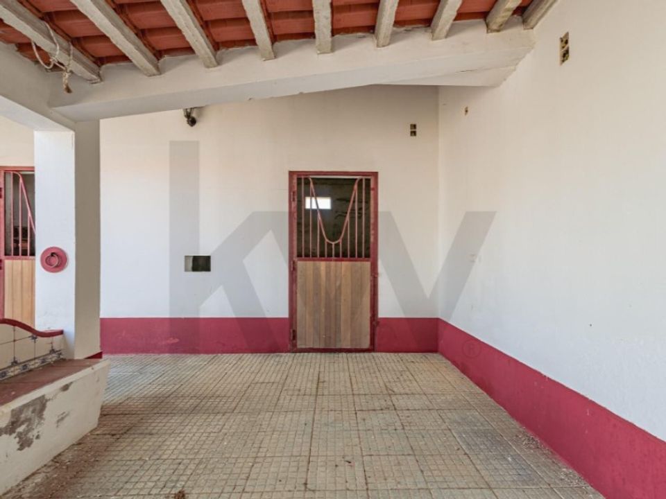 Farm i Viana do Alentejo, Evora - foto 4