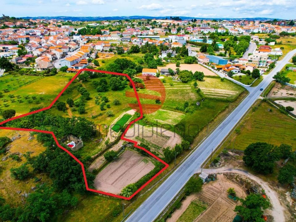 Helårsgrund i Meda, Guarda - foto 2