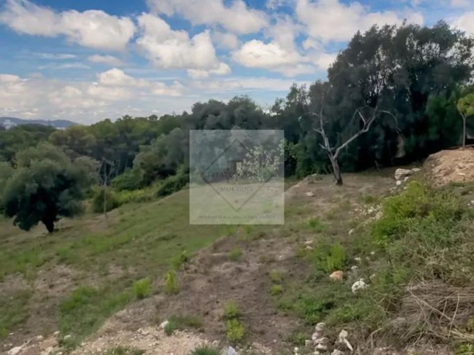 Terra a Mougins, Alpes-Maritimes - foto 2