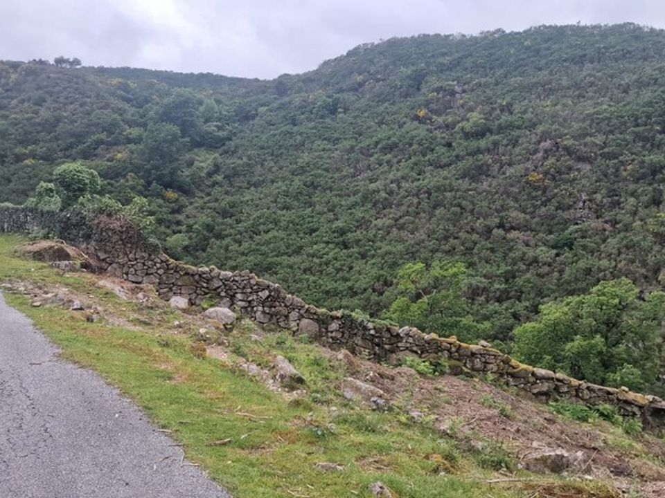 Tomt i Vieira do Minho, Braga - bilde 3