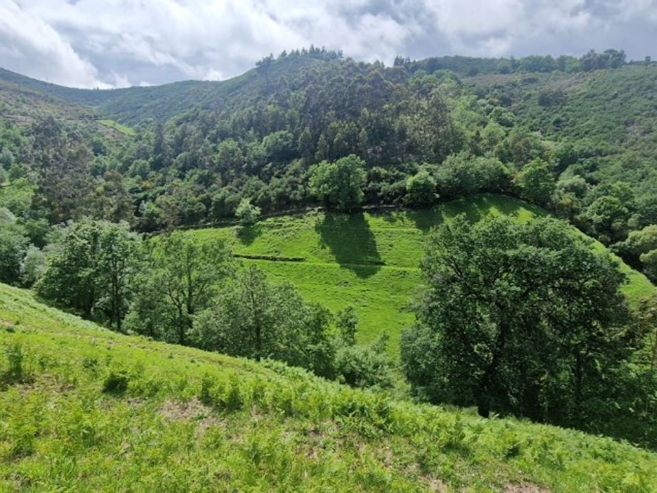 Helårsgrund i Vieira do Minho, Braga - foto 1