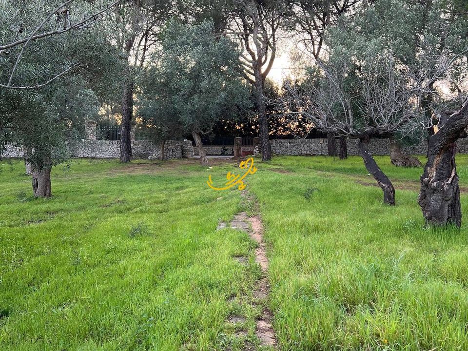 Masia a Monopoli, Bari - foto 5