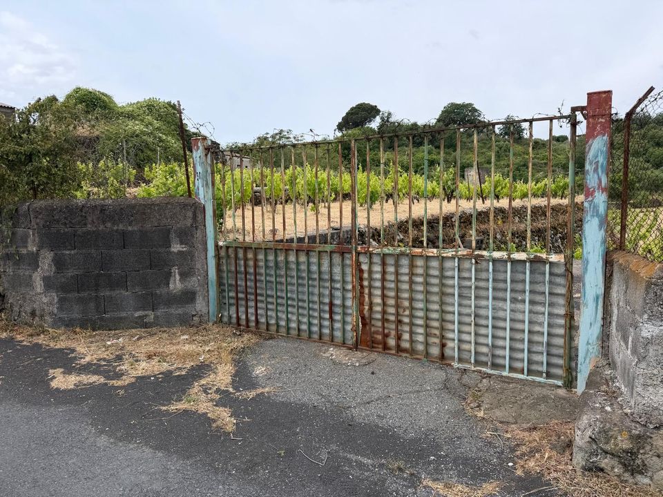 Erhvervsejendom i Tremestieri Etneo, Catania - foto 2