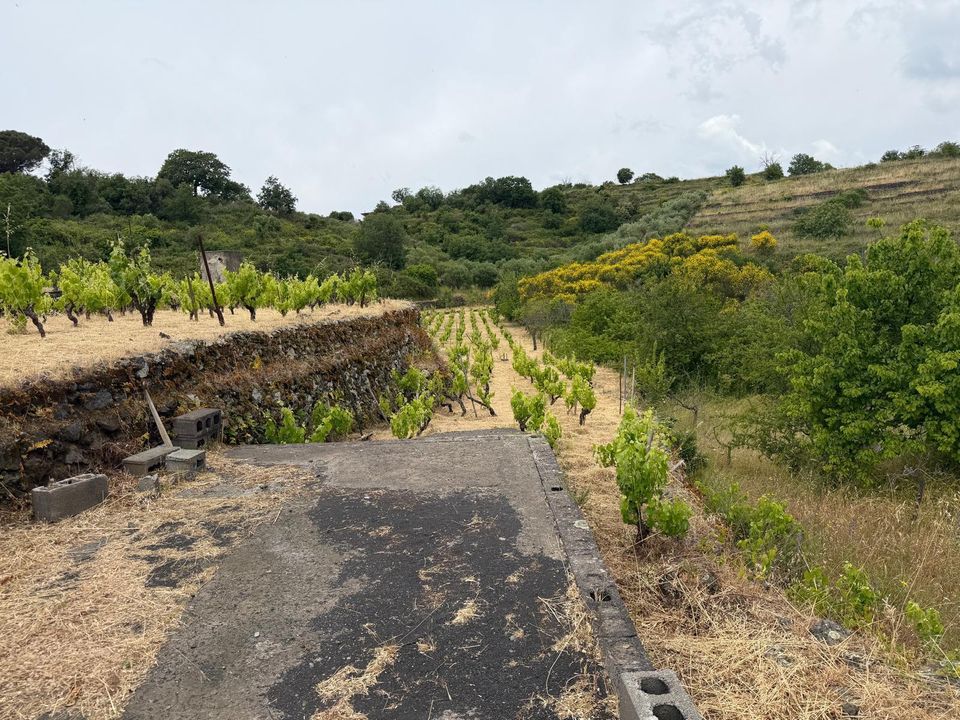 Erhvervsejendom i Tremestieri Etneo, Catania - foto 3