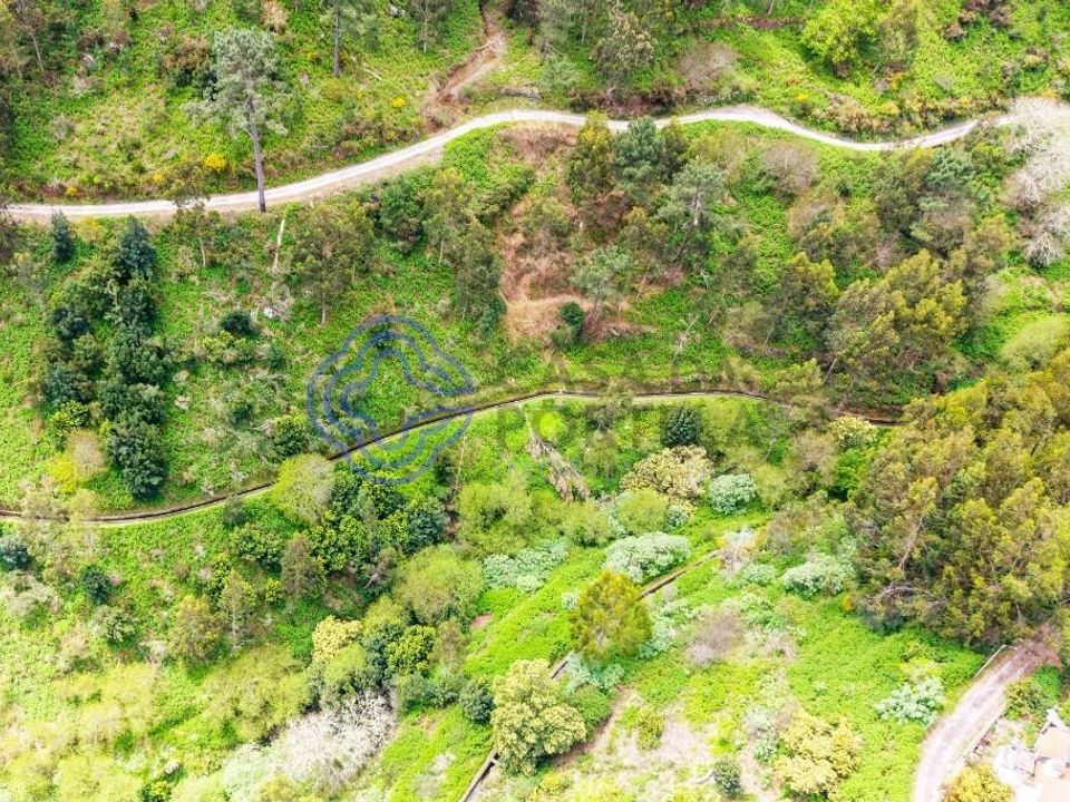 Helårsgrund i Santa Cruz, Madeira - foto 5