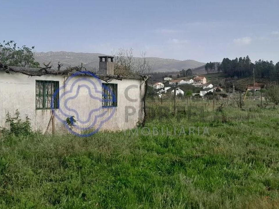 Tomt i Fundao, Castelo Branco - bilde 1