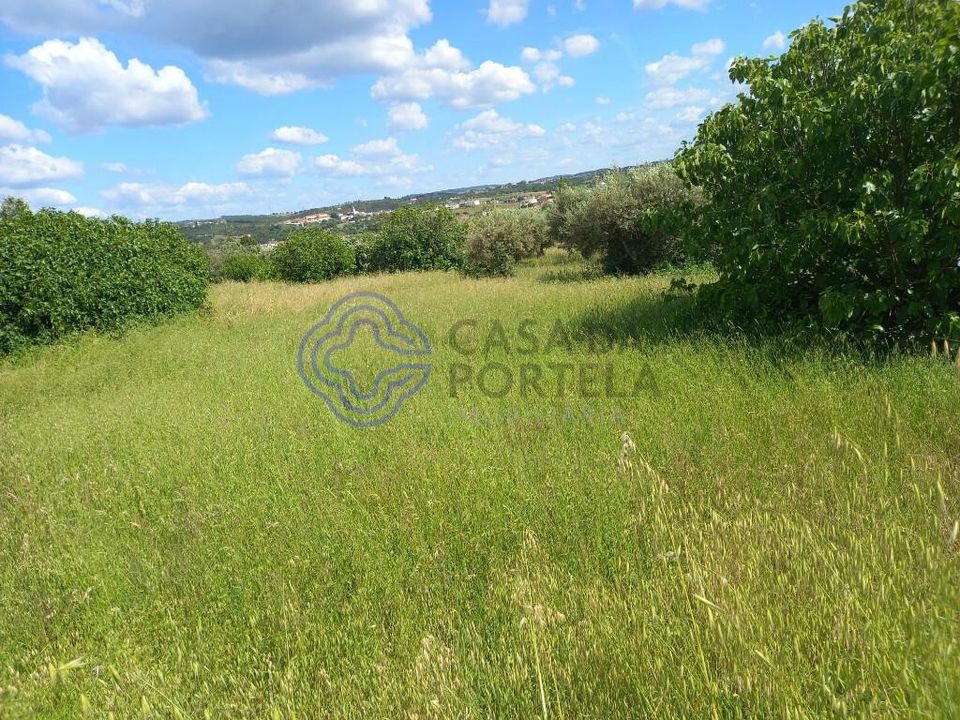 Helårsgrund i Tomar, Santarem - foto 1