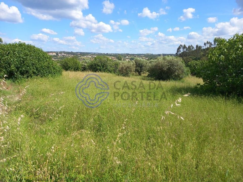 Helårsgrund i Tomar, Santarem - foto 3