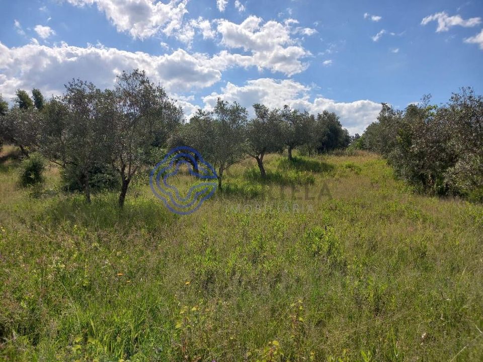 Helårsgrund i Tomar, Santarem - foto 4