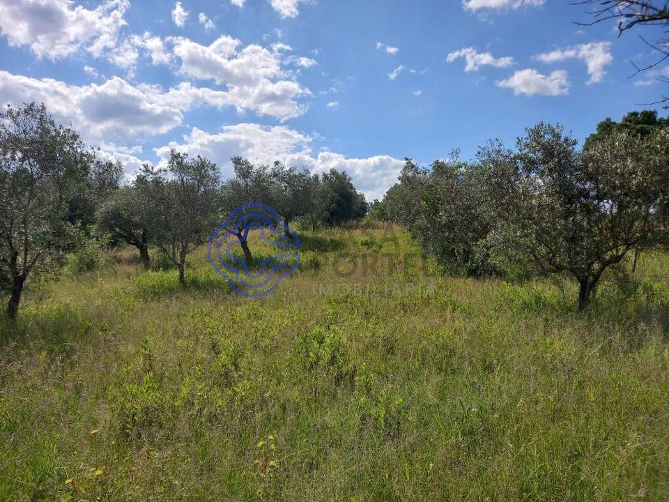 Helårsgrund i Tomar, Santarem - foto 5