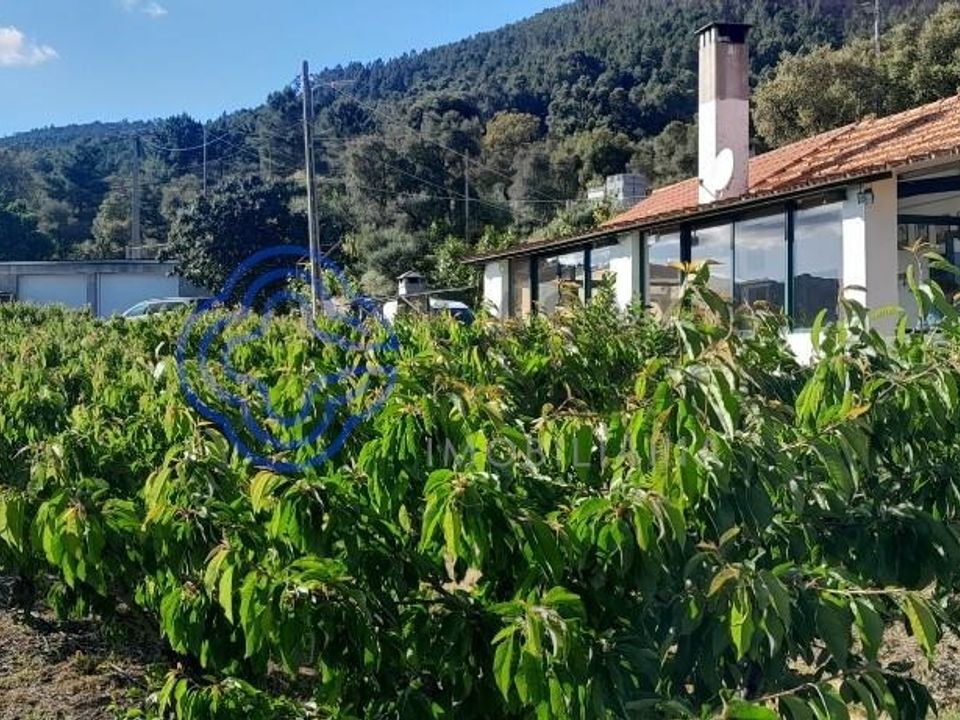 Byhus i Fundao, Castelo Branco - foto 4