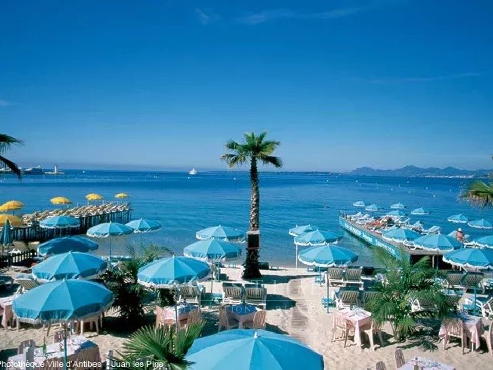 Erhvervsejendom i Antibes, Alpes-Maritimes - foto 5
