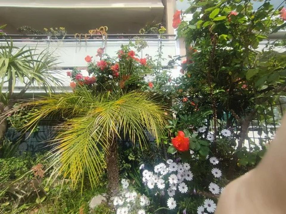 Lejlighed i Roquebrune-Cap-Martin, Alpes-Maritimes - foto 1