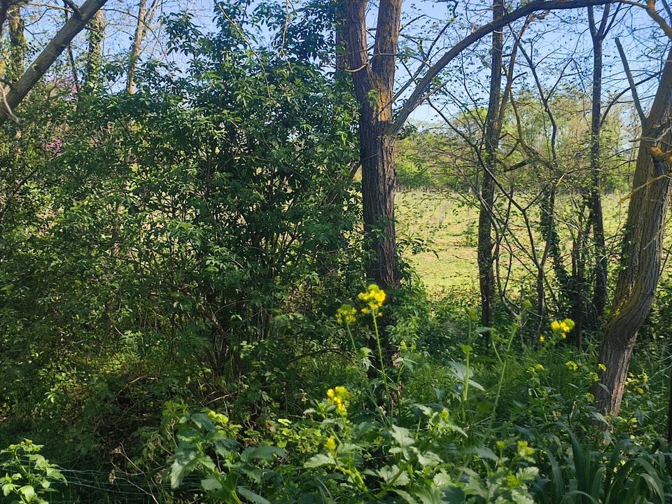 Helårsgrund i Couffoulens, Aude - foto 4