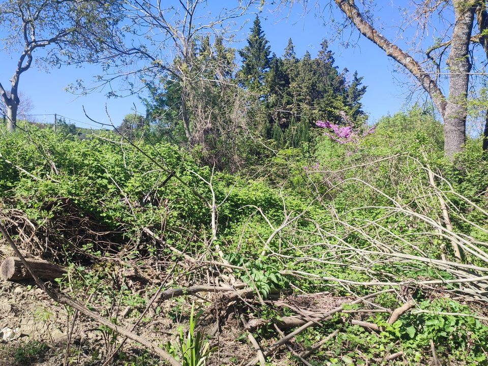Helårsgrund i Couffoulens, Aude - foto 5