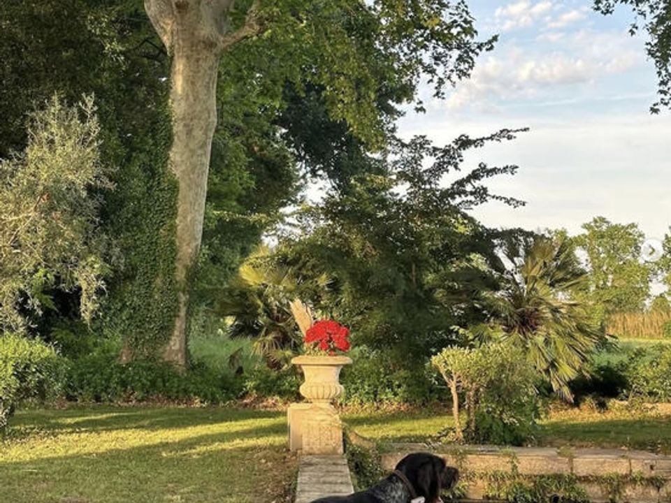 Villa i Raphele-les-Arles, Bouches-du-Rhone - foto 3