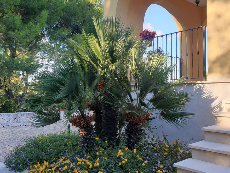 Villa i Fasano, Brindisi - foto 4