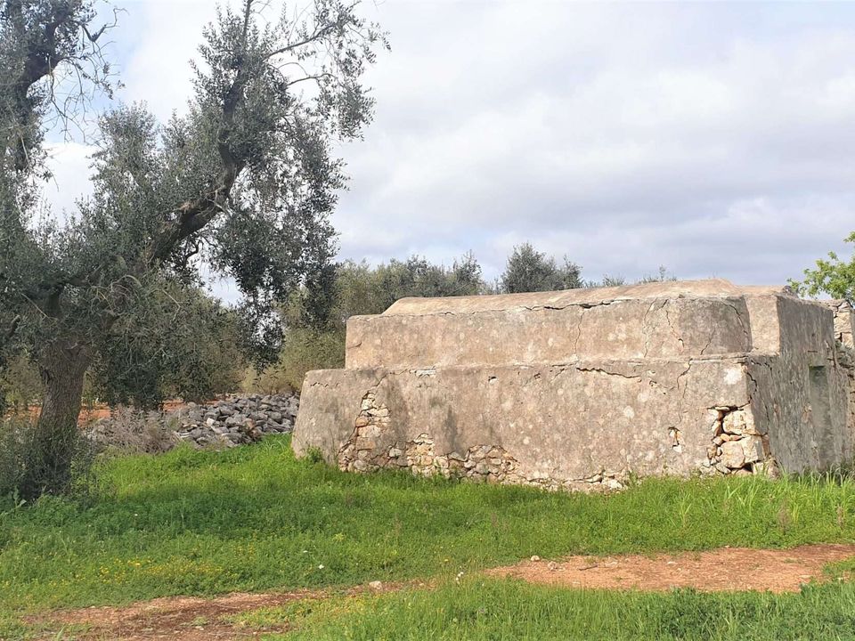 Farm hus i Latiano, Brindisi - foto 2