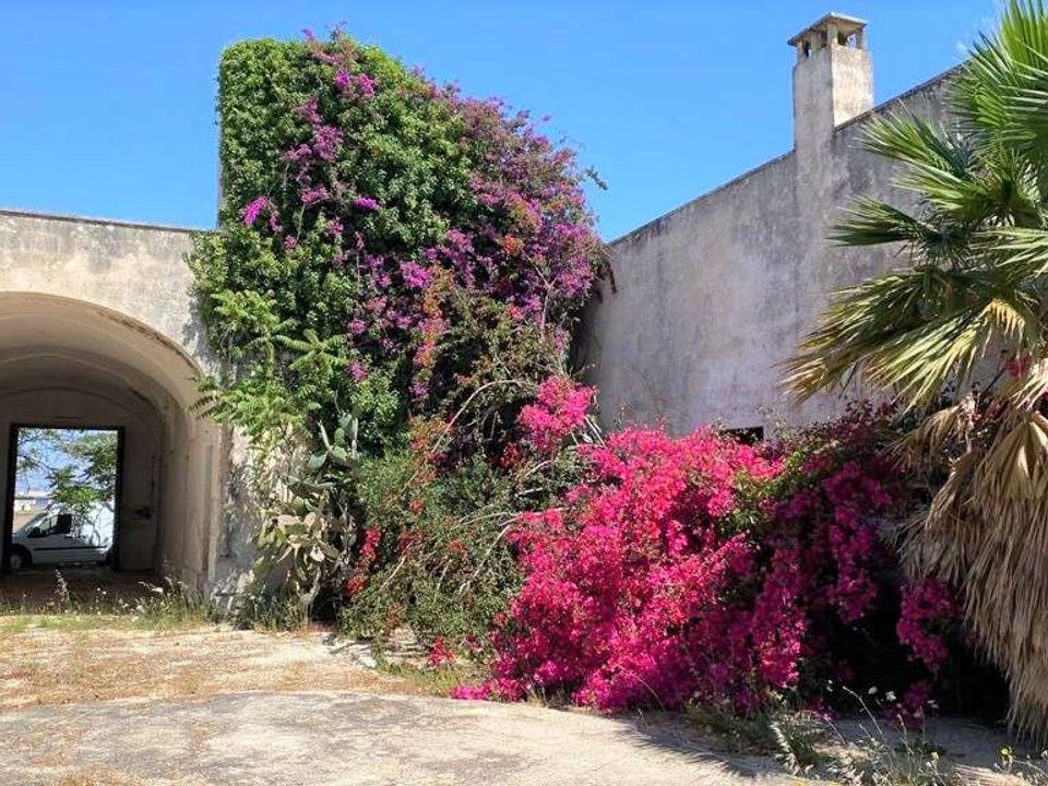 Granja a Porto Cesareo, Lecce - foto 5