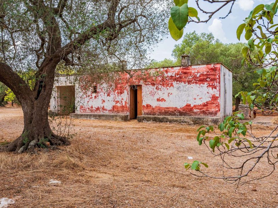 Farm hus i San Vito dei Normanni, Brindisi - foto 2