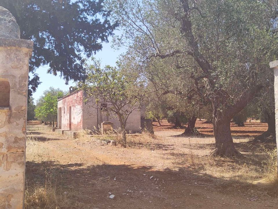 Farm hus i San Vito dei Normanni, Brindisi - foto 3