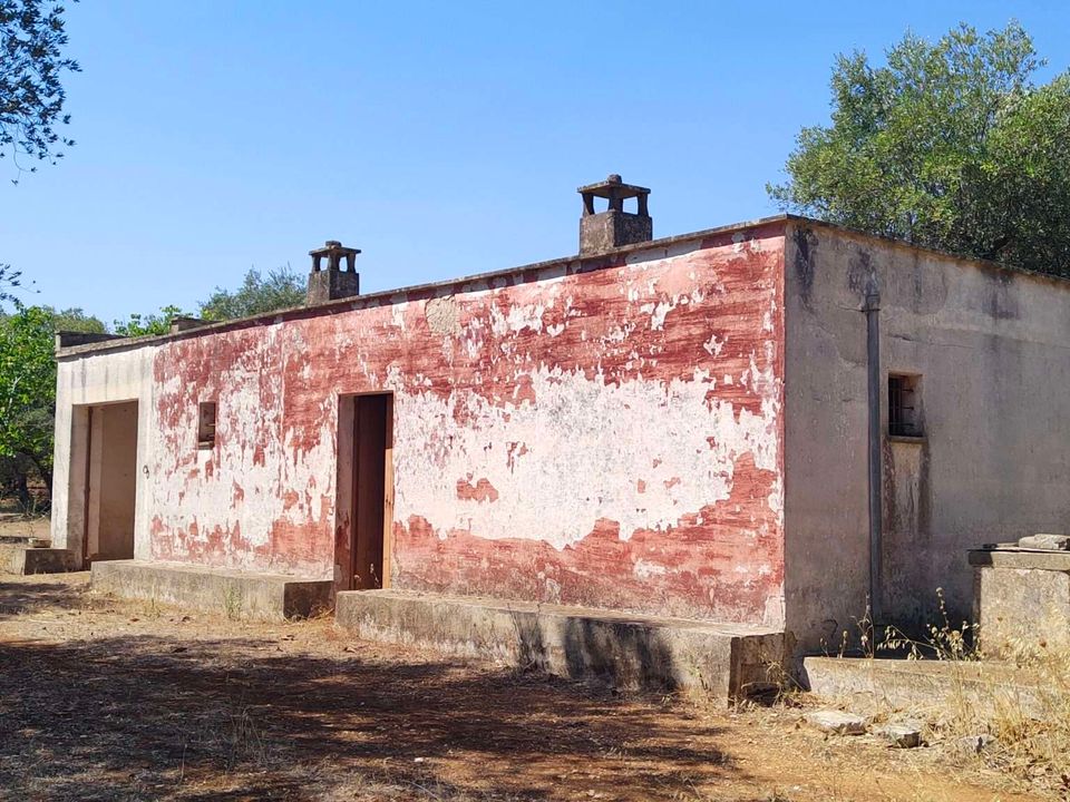 Farm hus i San Vito dei Normanni, Brindisi - foto 4