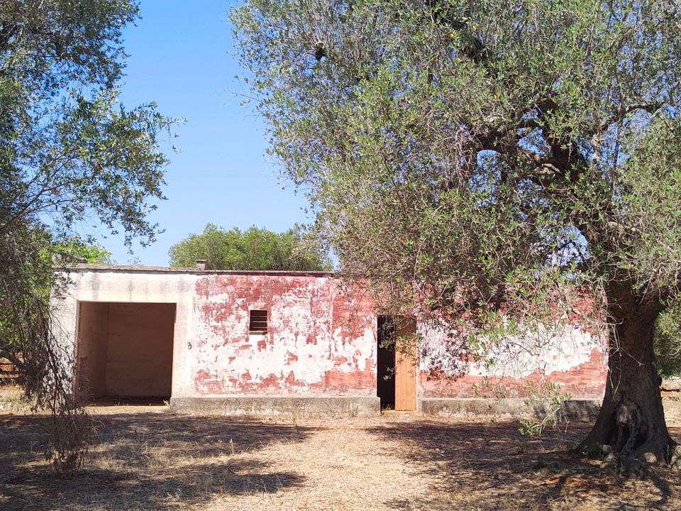 Farm hus i San Vito dei Normanni, Brindisi - foto 5