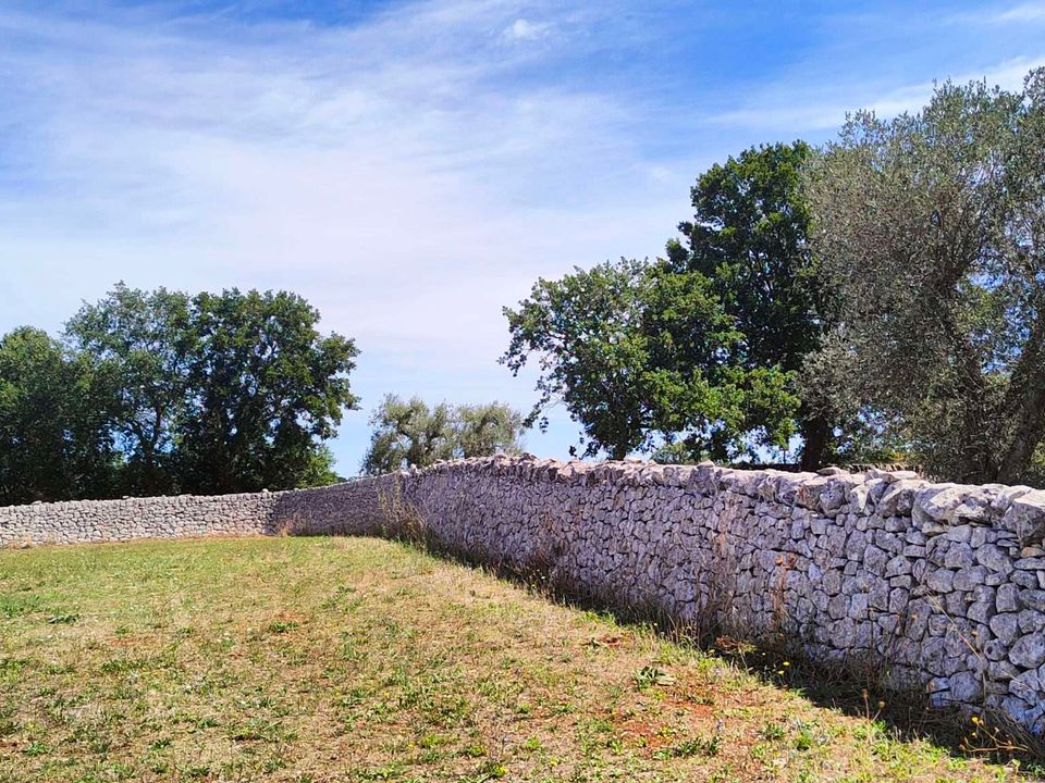 Villa i Cisternino, Brindisi - foto 4