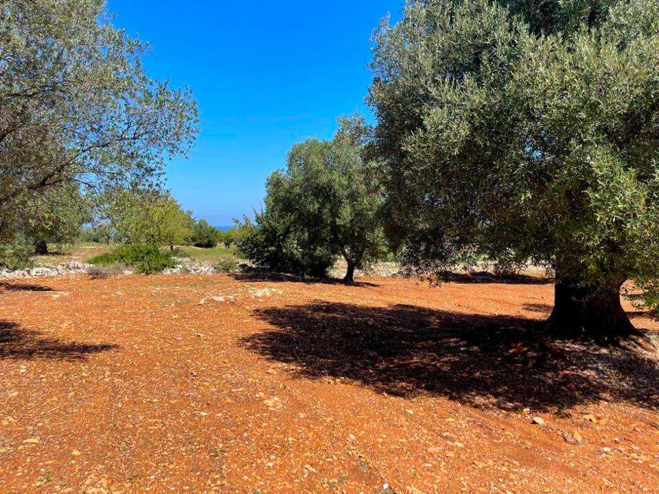 Helårsgrund i Carovigno, Brindisi - foto 2