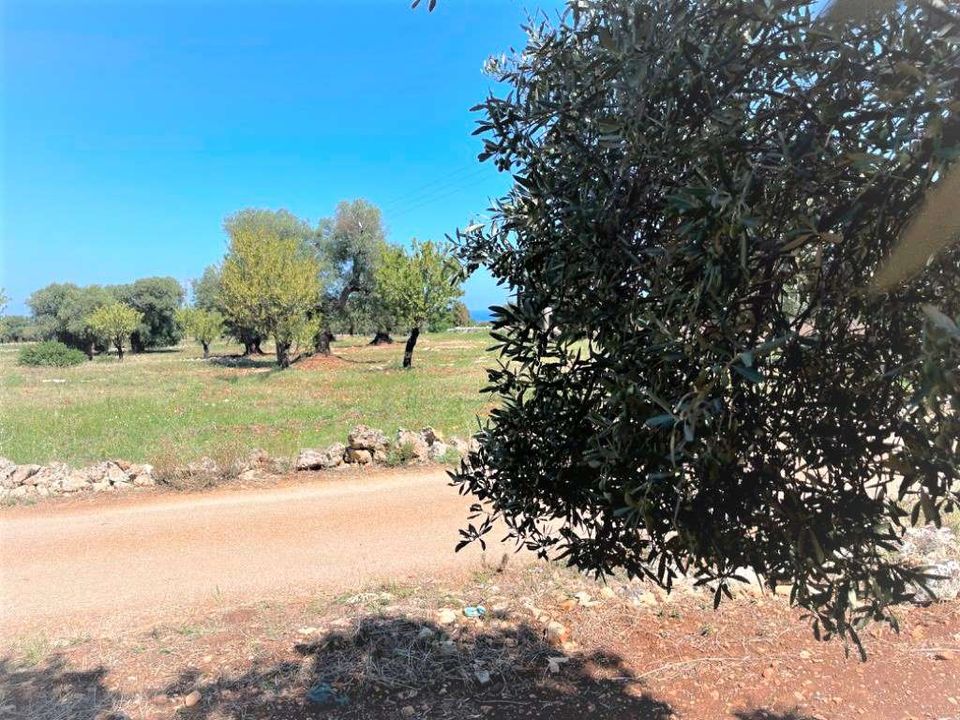 Helårsgrund i Carovigno, Brindisi - foto 3