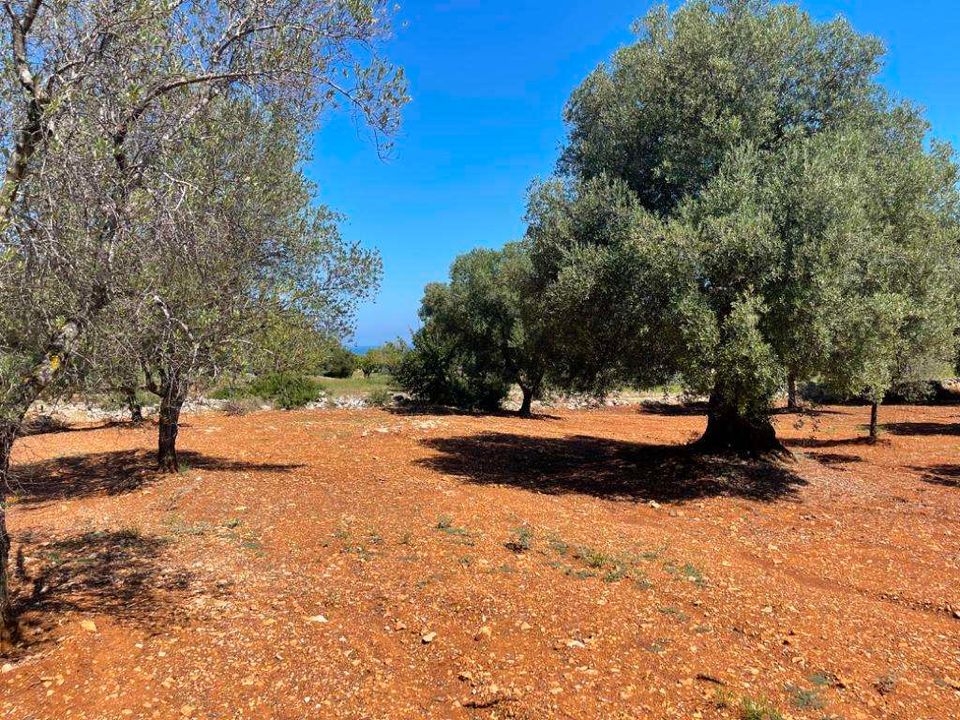 Helårsgrund i Carovigno, Brindisi - foto 4