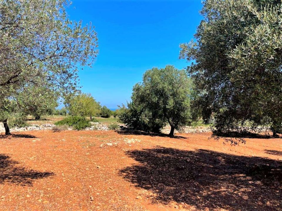 Helårsgrund i Carovigno, Brindisi - foto 5