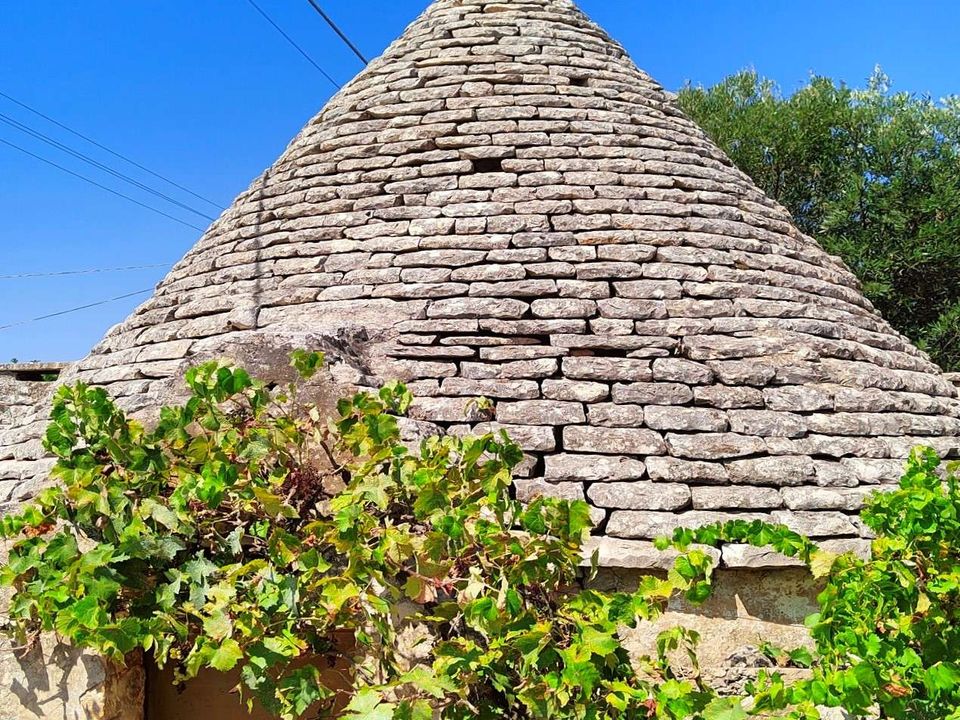 Helårsgrund i Cisternino, Brindisi - foto 3