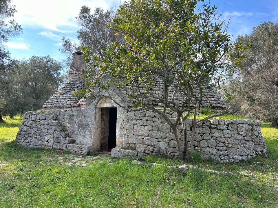 Villa i San Vito dei Normanni, Brindisi - foto 2