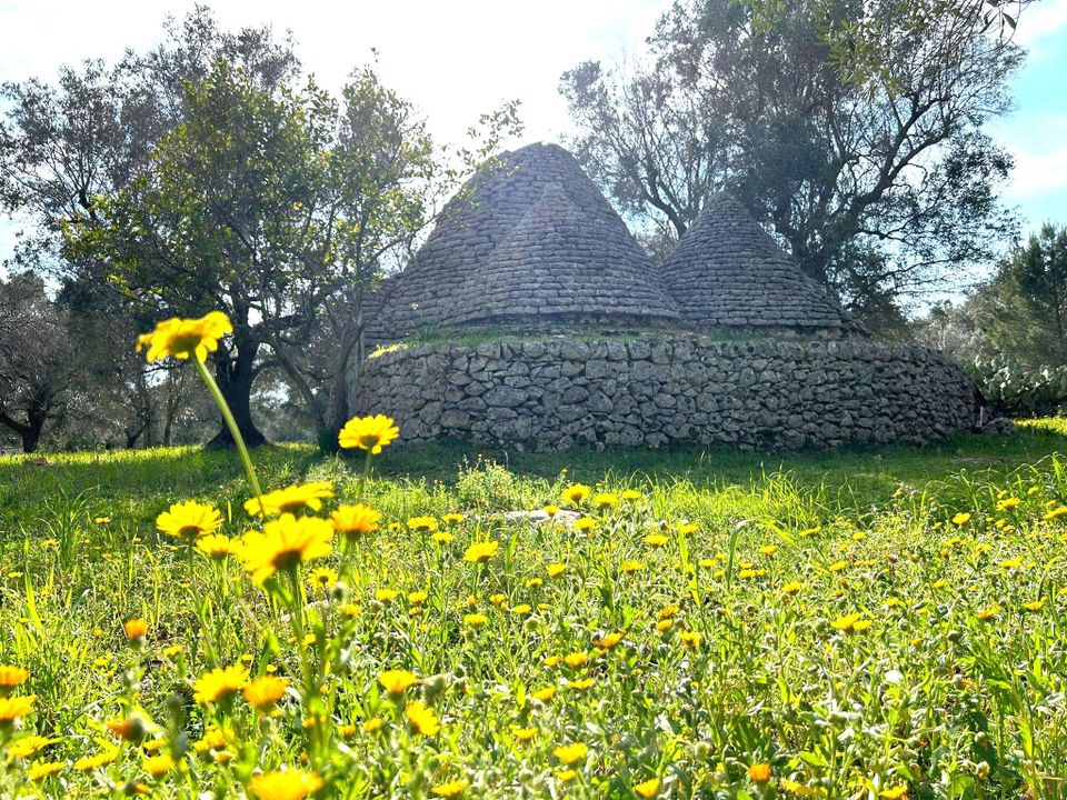 Villa i San Vito dei Normanni, Brindisi - foto 5