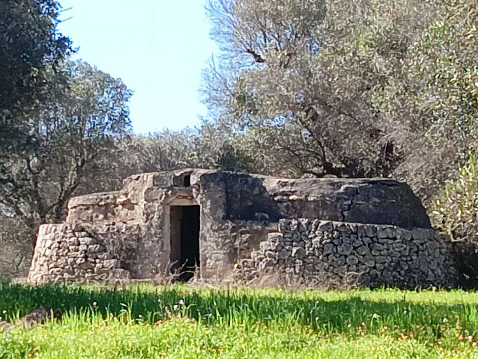 Farm hus i Ceglie Messapica, Brindisi - foto 3