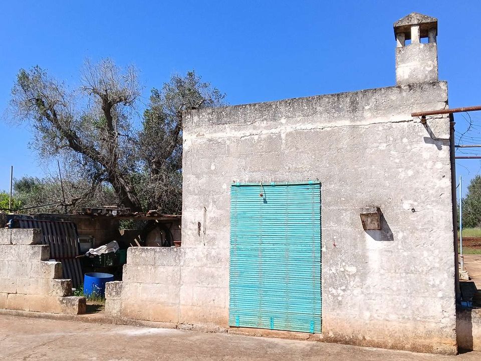Farm hus i San Vito dei Normanni, Brindisi - foto 4