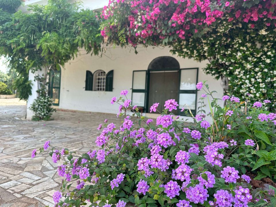 Villa i Ostuni, Brindisi - foto 3