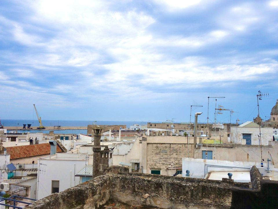 Farm i Monopoli, Bari - foto 2