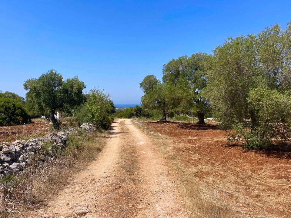 Helårsgrund i Carovigno, Brindisi - foto 1