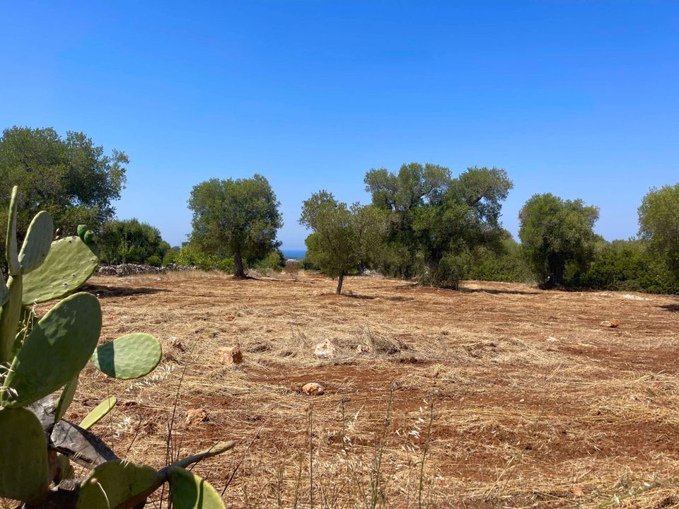 Helårsgrund i Carovigno, Brindisi - foto 4